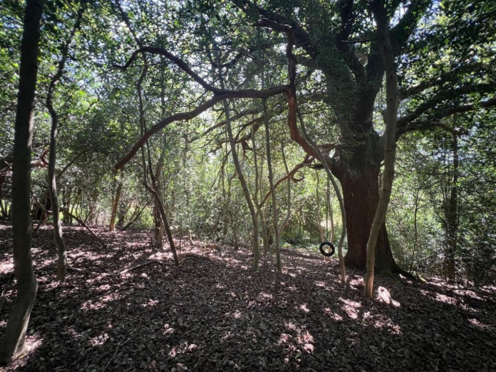 Images for Lime Kiln Lane, Holbury, Southampton